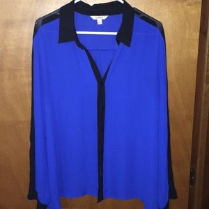 Button down dress shirt